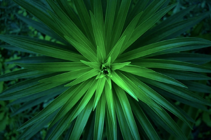 51c4deec9ec7e490e16a1d574a2e1d39_1748979781_8707.jpg