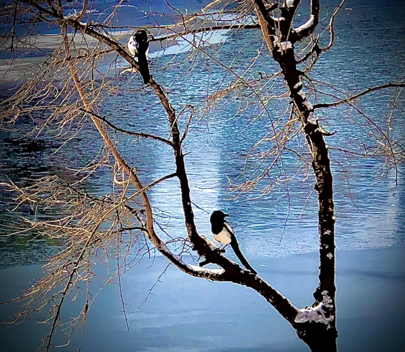 10e15b1c376a7f09cb3db04d0162774f_1757987715_2174.jpg